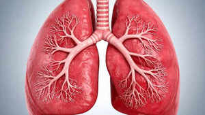 Image of: 7 Everyday Foods to Avoid for Optimal Lung Health