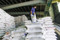 Image of: Africa: The New Frontier for Vietnamese Rice Exports