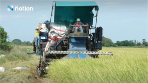 Image of: Rice Department to Strategize on Paddy Price Stability for New Harvest