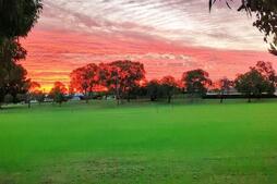 Image of: Kearsley Cricket Captain Thrives in Australia
