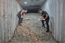 Image of: The E-Waste Crisis: America's Impact on Southeast Asia