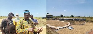 Image of: Gbedembilsi Rice Farmers Face Crisis as Prices Plummet