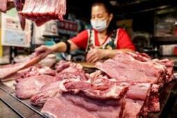 Image of: Taiwan Reports Initial Cases of African Swine Fever