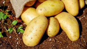 Image of: 5 Ingenious Hacks for Potato Lovers