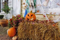Image of: Households Advised to Skip Pumpkins This Halloween
