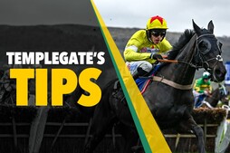 Image of: Horse Racing Insights: Templegate’s Top Picks for Aintree and Fontwell