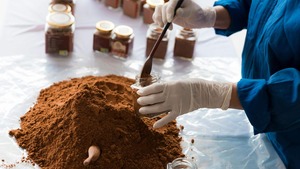 Image of: Carob Powder: The Overlooked Superfood You Need