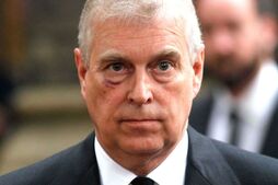Image of: Reviving the Monarchy: Three Steps to Mitigate Prince Andrew's Impact