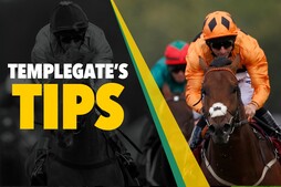 Image of: Horse Racing Insights: Local Heroes Eye Victory with a Talented Filly