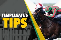 Image of: Horse Racing Insights: Templegate's Top Picks for Wednesday