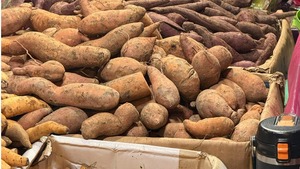 Image of: Elevate Your Sweet Potatoes: 5 Flavor Combinations to Try