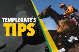 Image of: Horse Racing Insights: Templegate's Top Picks for Thursday