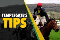 Image of: Horse Racing Insights: Templegate's Top Pick for Friday
