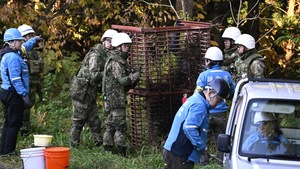 Image of: Japan Mobilizes Military to Address Rising Bear Attacks