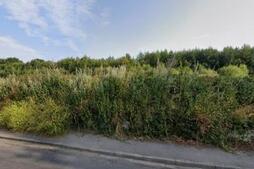 Image of: Whiston Woods Cemetery Extension: A Sustainable Future