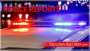 Image of: Police Reports: 17 Arrests Made by Local Authorities