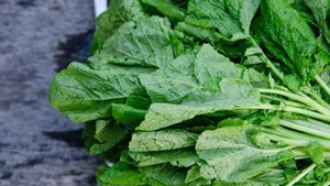 Image of: Exploring the Culinary Delights of African Bush Mustard
