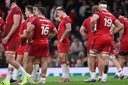 Image of: Wales Rugby: A Lesson in Humility for WRU Chiefs