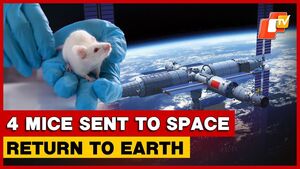 Image of: Four Mice Return to Earth After Space Experiments in China's Space Station