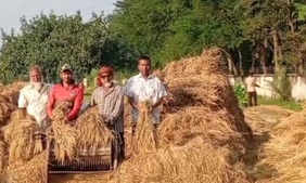 Image of: Khulna Region Aims for 850,000 Tonnes of Aman Rice Harvest