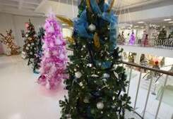 Image of: Celebrate the Holiday Spirit at the Fantasy of Trees Event