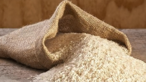 Image of: Global Rice Prices Experience Minor Increase Amid Surplus Supplies