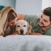 Image of: Jealous Dogs: The Unseen Barrier to Couple Intimacy