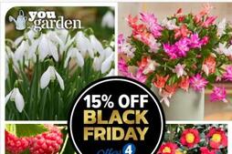 Image of: Unbeatable Black Friday Savings: 15% Off You Garden's Best Sellers