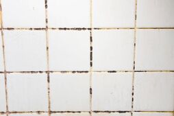 Image of: Combat Bathroom Mould with This Common Household Item