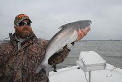 Image of: Reel Cats: Exploring Texas' Whiskered Fish