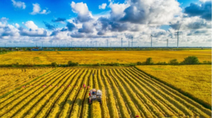 Image of: Vietnam Certifies 71,000 Tonnes of Low Emission Rice Under Green Farming Initiative