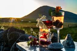 Image of: Exploring a Non-Alcoholic Spirit from Scotland: A Taste of ‘Magic in a Bottle’
