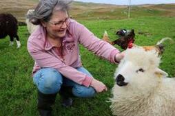 Image of: The Crafting Haven of the Shetland Isles: A Knitter's Paradise
