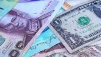 Image of: India’s Forex Reserves Surge to Nearly Twice Pakistan’s GDP